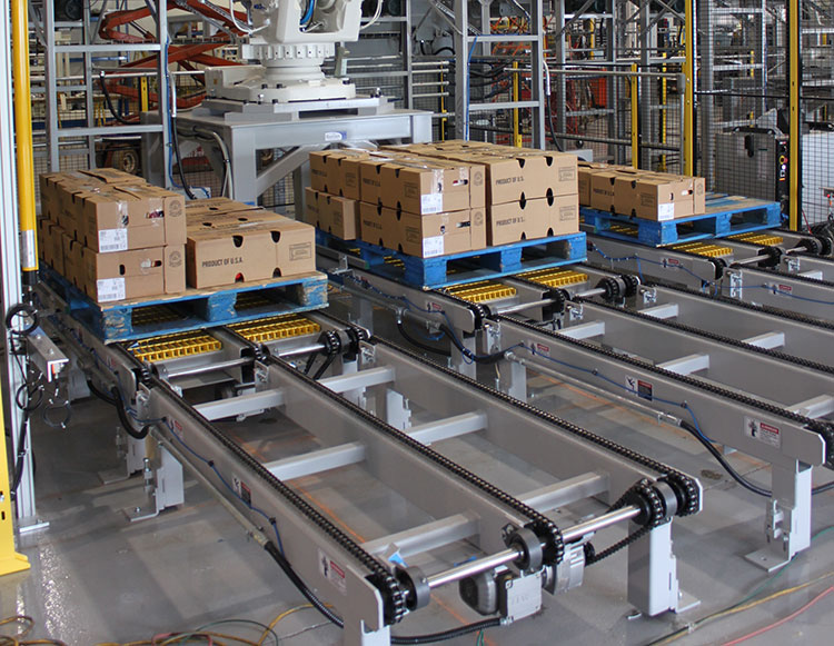 Chain Conveyor System